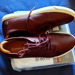 Mens Burgundy Lacoste Shoe.